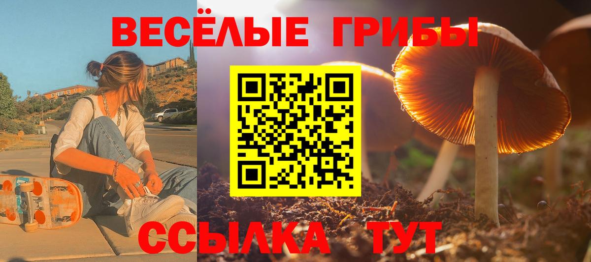 Галлюциногенные грибы ЛСД  Галлюциногенные грибы прущие грибы  Вход с VPN  Печора 