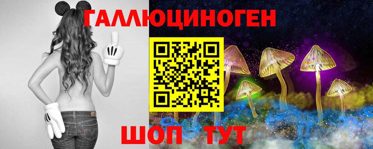 Псилоцибиновые грибы прущие грибы Печора